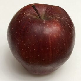 Pommier 'Rouge délicieuse'