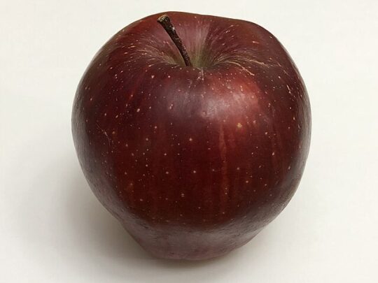 Pommier 'Rouge délicieuse'